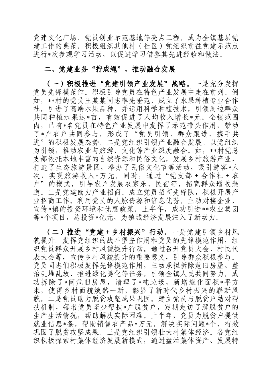 镇2025年基层党组织上半年工作总结_第3页