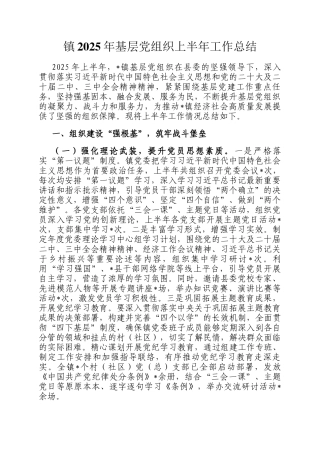 镇2025年基层党组织上半年工作总结