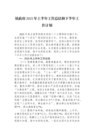 镇政府2025年上半年工作总结和下半年工作计划