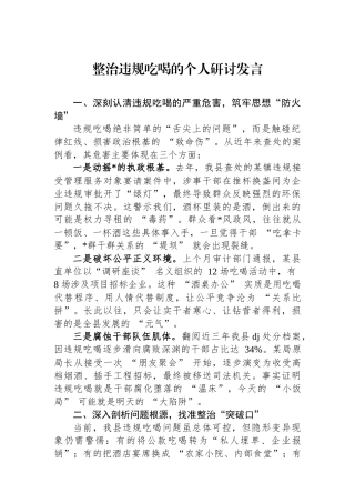 整治违规吃喝的个人研讨发言