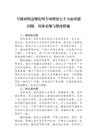 专题对照违规吃喝专项整治七个方面查摆问题、具体表现与整改措施