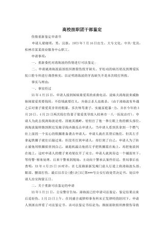 高校挂职团干部鉴定