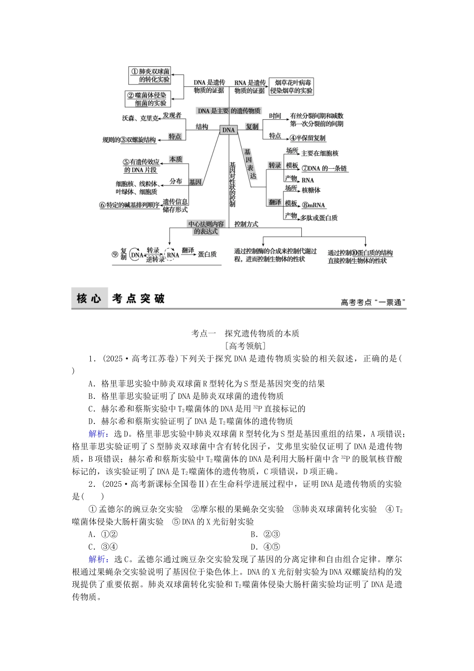 高考生物二轮复习-第1部分-专题讲练突破-专题4-遗传、变异和进化-第7讲-遗传的分子基础_第2页