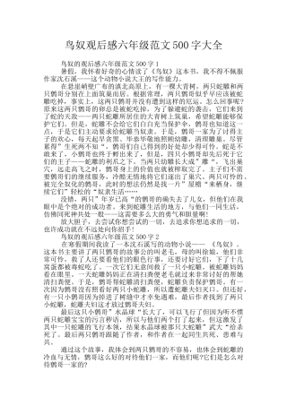 鸟奴观后感六年级范文500字大全