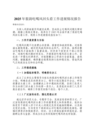 2025年狠刹吃喝风回头看工作进展情况报告