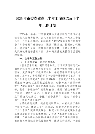 2025年市委党建办上半年工作总结及下半年工作计划