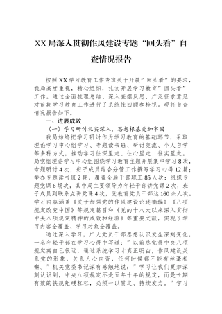 XX局深入贯彻作风建设专题回头看自查情况报告