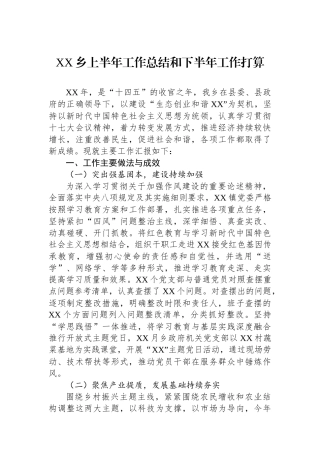 XX乡上半年工作总结和下半年工作打算