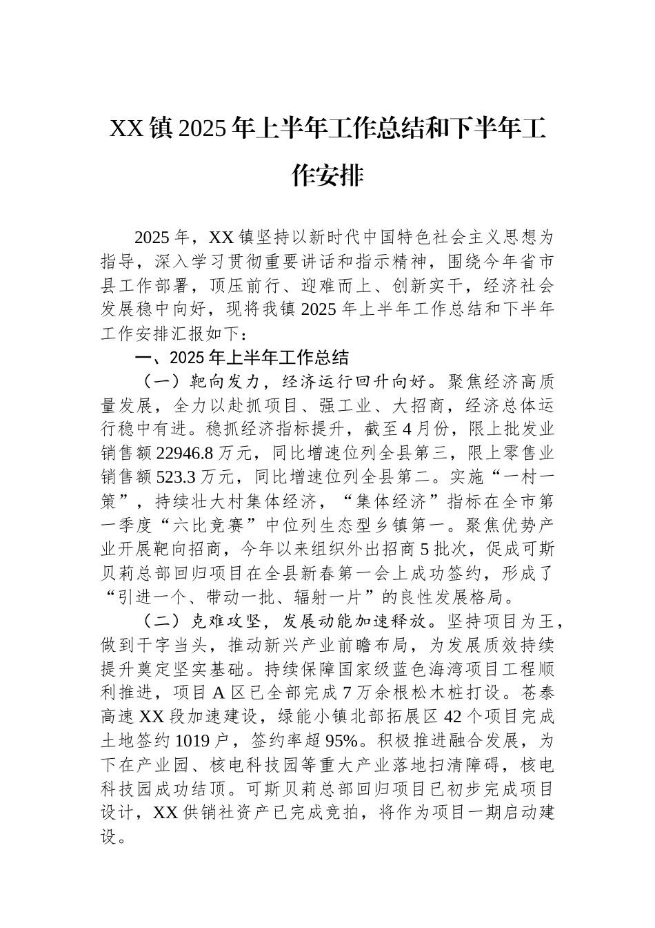 XX镇2025年上半年工作总结和下半年工作安排_第1页