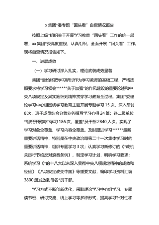 X集团党委专题“回头看”自查情况报告