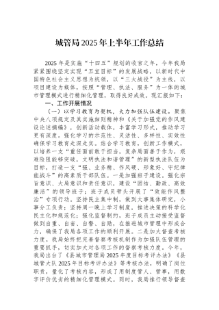 城管局2025年上半年工作总结