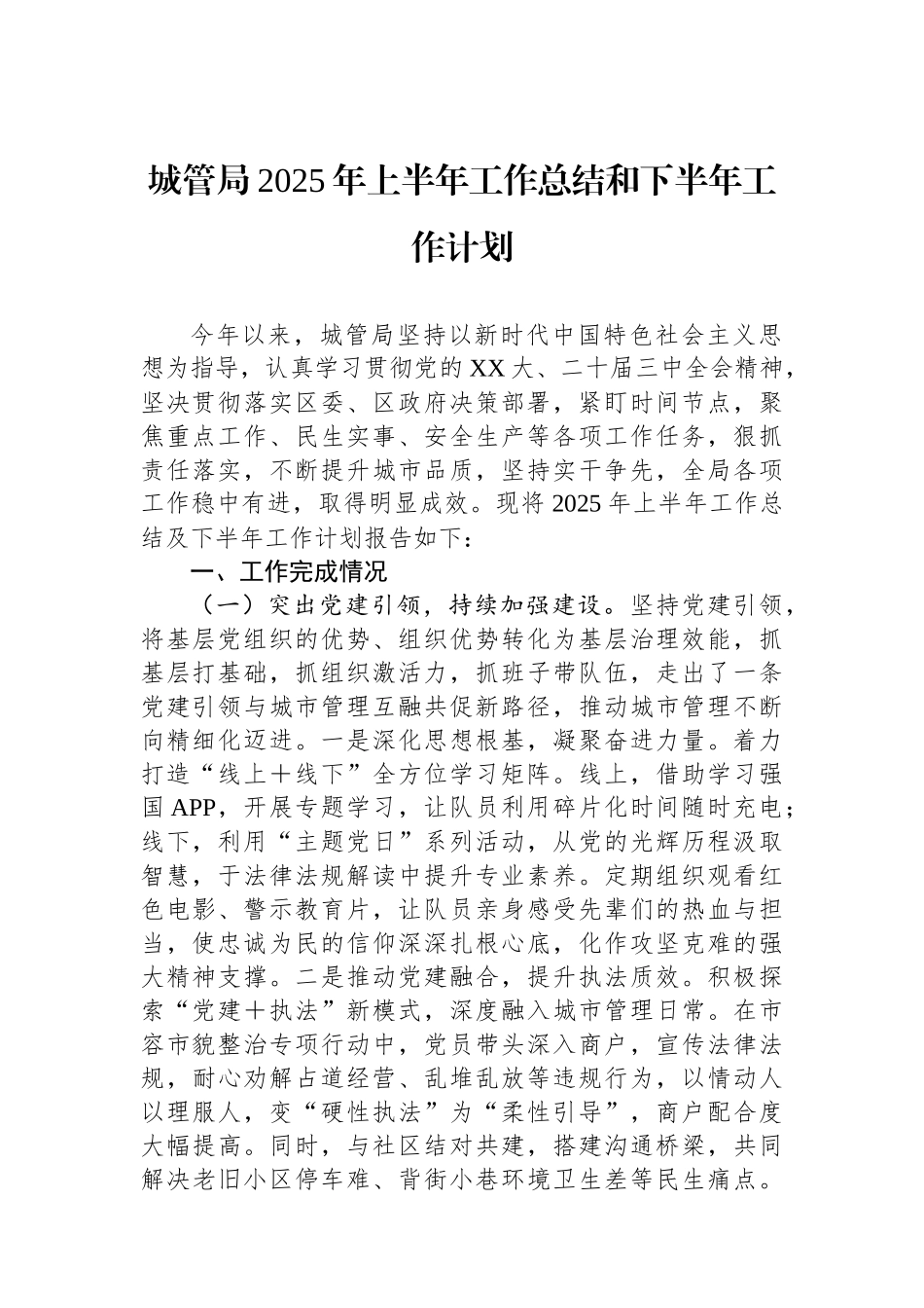 城管局2025年上半年工作总结和下半年工作计划_第1页