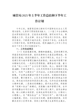 城管局2025年上半年工作总结和下半年工作计划