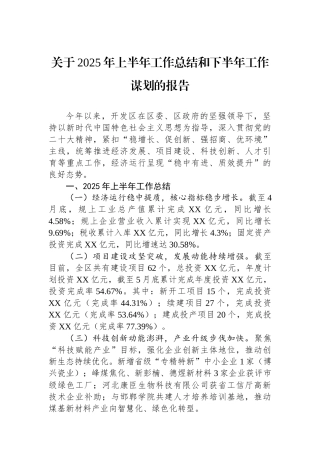 关于2025年上半年工作总结和下半年工作谋划的报告