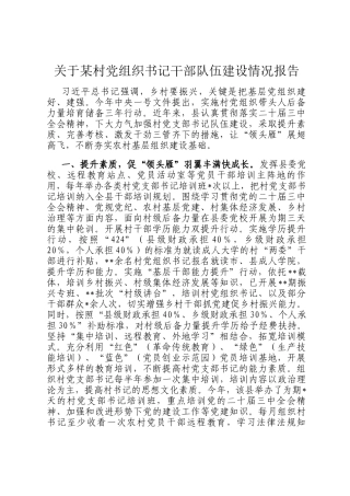 关于某村党组织书记干部队伍建设情况报告