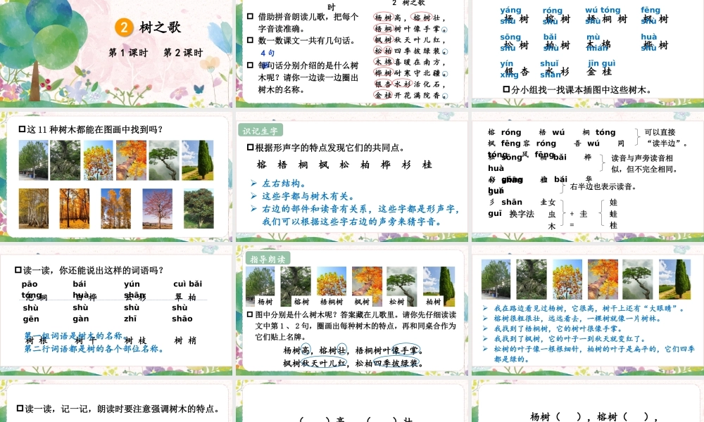 2025秋人教统编版二年级语文上册2 树之歌课件