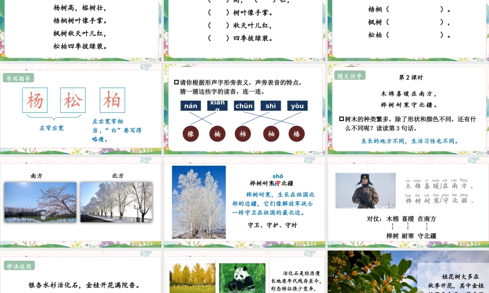 2025秋人教统编版二年级语文上册2 树之歌课件