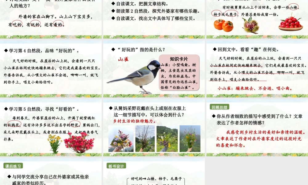 2025秋人教统编版二年级语文上册5 去外婆家课件