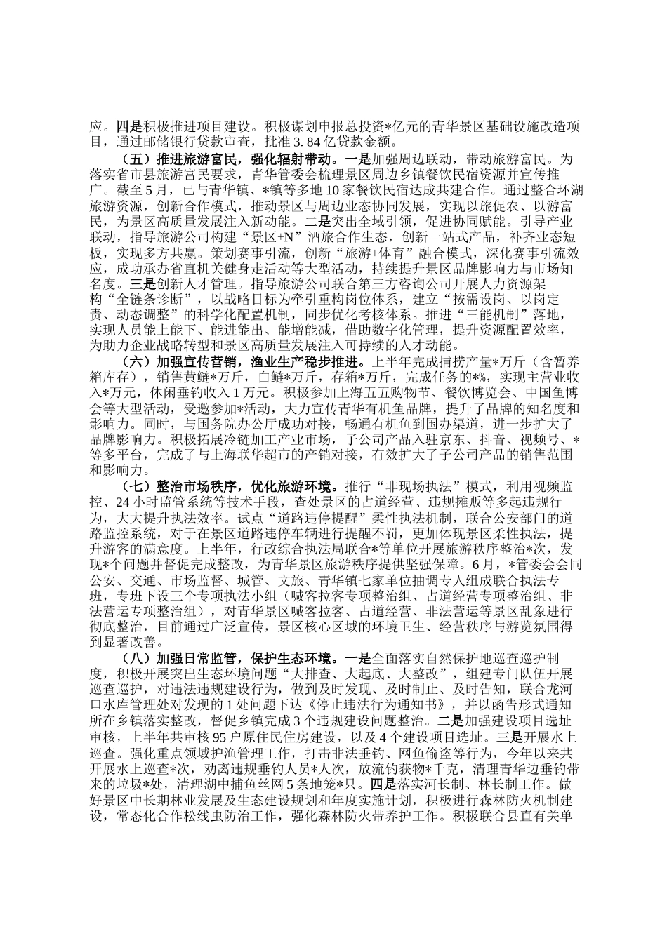 管委会2025年上半年工作总结_第3页