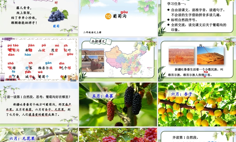 2025秋人教统编版二年级语文上册10 葡萄沟课件