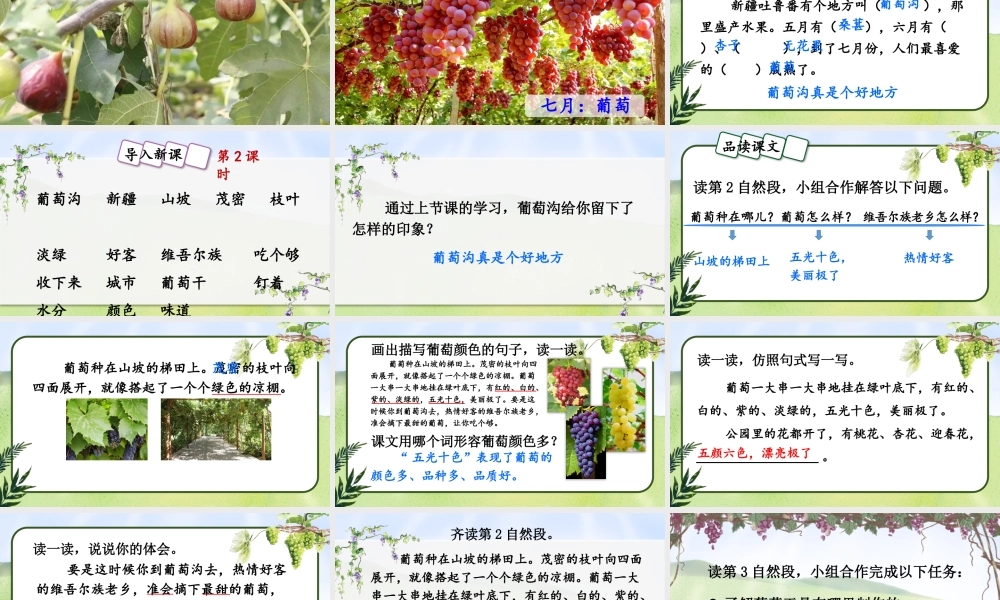 2025秋人教统编版二年级语文上册10 葡萄沟课件