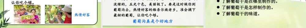 2025秋人教统编版二年级语文上册10 葡萄沟课件