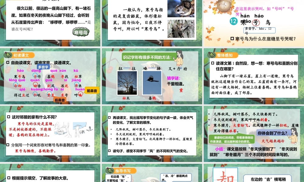 2025秋人教统编版二年级语文上册12 寒号鸟课件