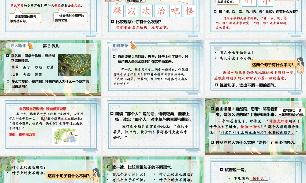 2025秋人教统编版二年级语文上册13 我要的是葫芦课件