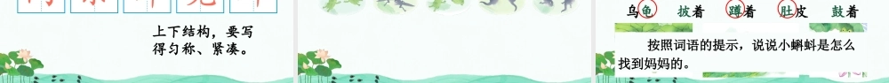 2025秋人教统编版二年级语文上册第一单元1 小蝌蚪找妈妈 课件