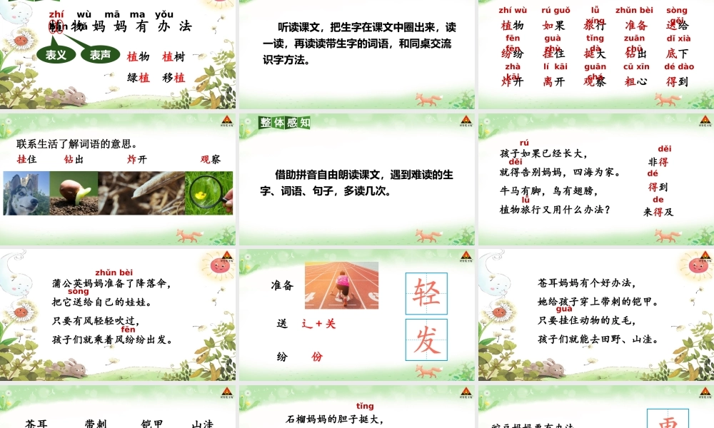 2025秋人教统编版二年级语文上册第一单元3 植物妈妈有办法 课件