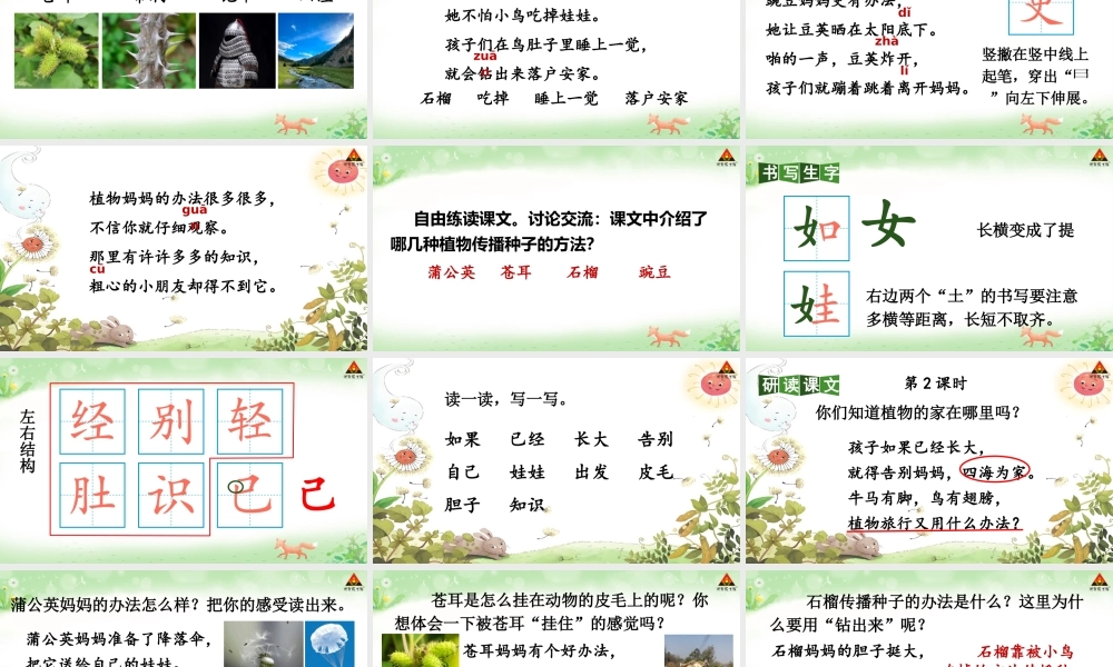 2025秋人教统编版二年级语文上册第一单元3 植物妈妈有办法 课件