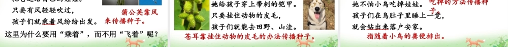 2025秋人教统编版二年级语文上册第一单元3 植物妈妈有办法 课件