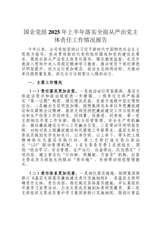国企党组2025年上半年落实全面从严治党主体责任工作情况报告