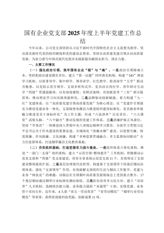 国有企业党支部2025年度上半年党建工作总结