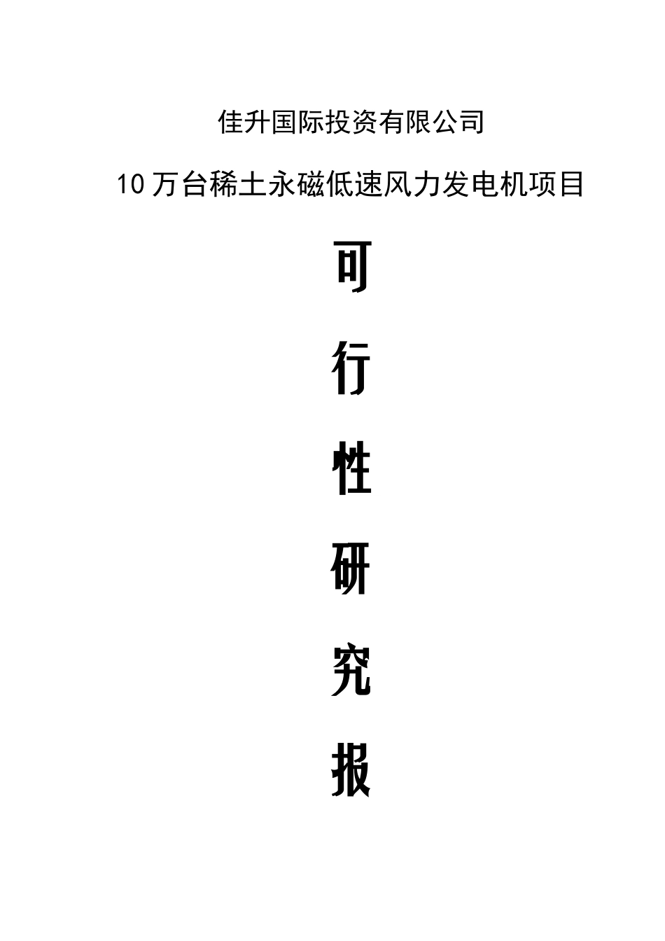 10万台稀土永磁低速风力发电机项目可行性研究报告_第2页