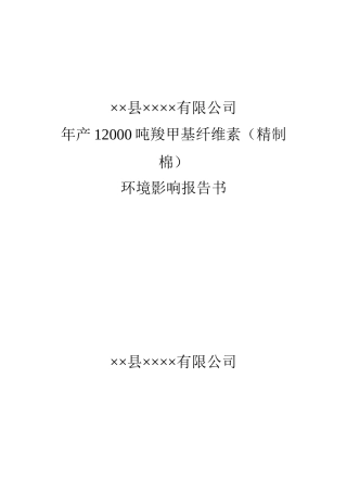 12000吨羧甲基纤维素环境评估报告