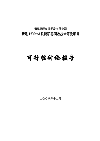 1200td铁尾矿再回收技术开发项目可行性研究报告