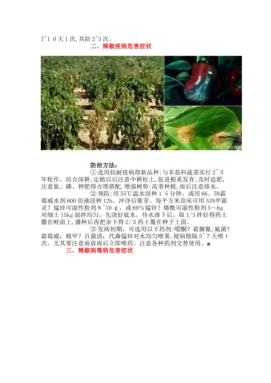 19种辣椒病虫害防治方法详解_第2页