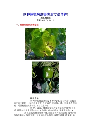 19种辣椒病虫害防治方法详解