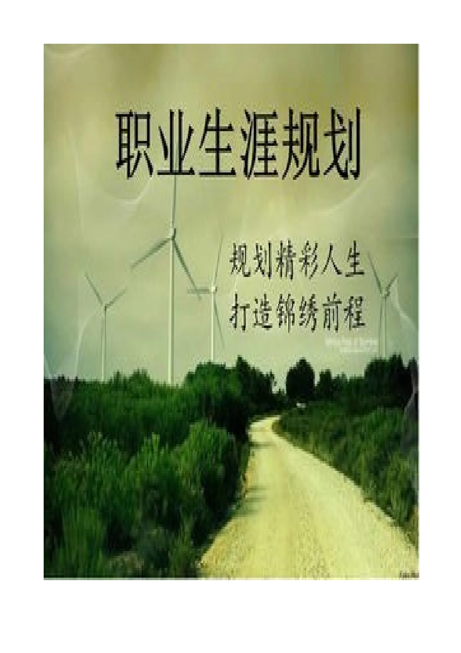 2025大学生职业生涯规划书大学论文_第2页