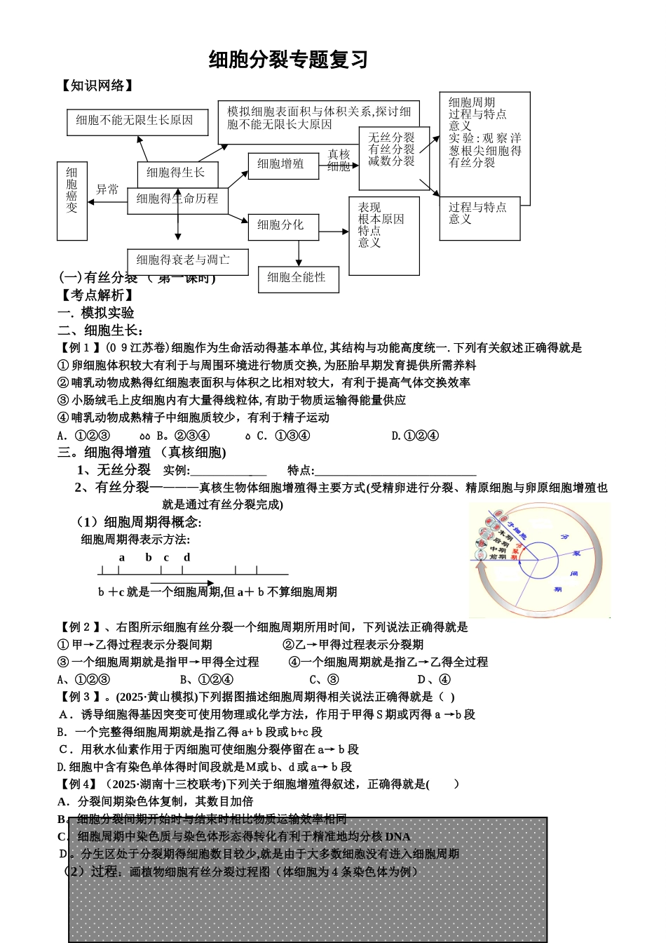 2025届细胞分裂一轮复习学案含答案_第1页