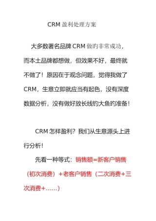 2025年CRM盈利解决方案