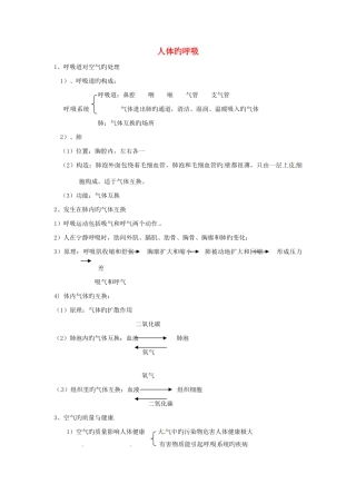 2025年七年级生物下册人体的呼吸知识点总结新人教版