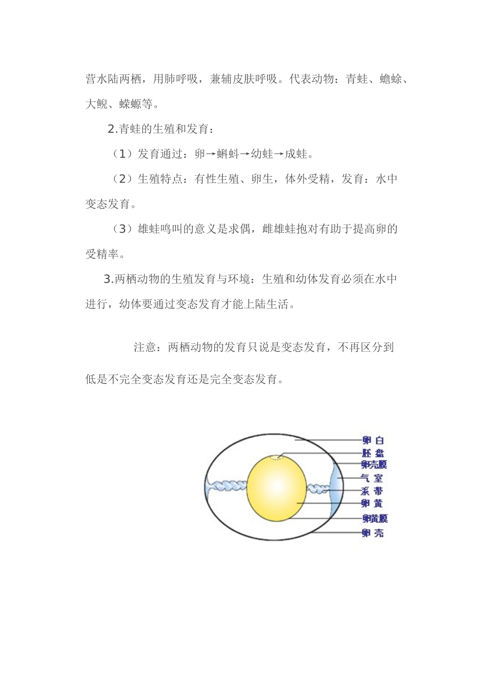 2025年人教版八年级下册生物的生殖和发育知识点_第3页