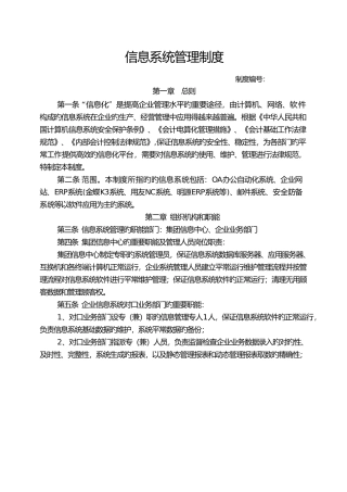 2025年企业信息系统管理制度