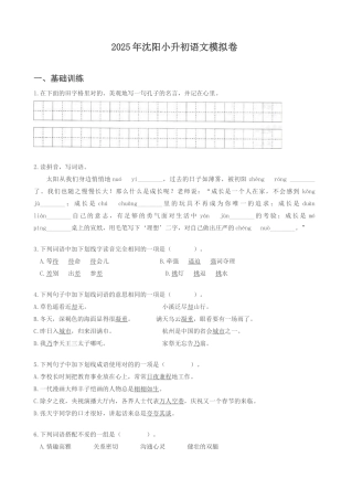 2025年六年级下册语文试题辽宁省沈阳市沈阳小升初语文模拟卷语文S版文档版含答案