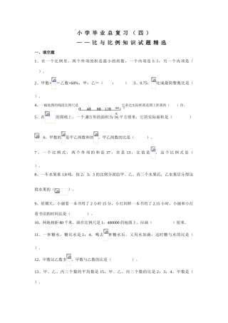 2025年六年级小升初比和比例总复习