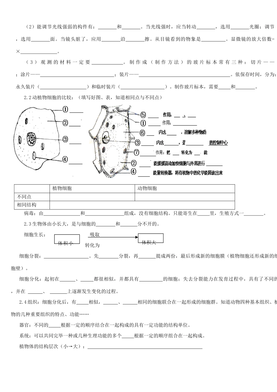 2025年初中生物中考总复习重要知识点图表等_第3页