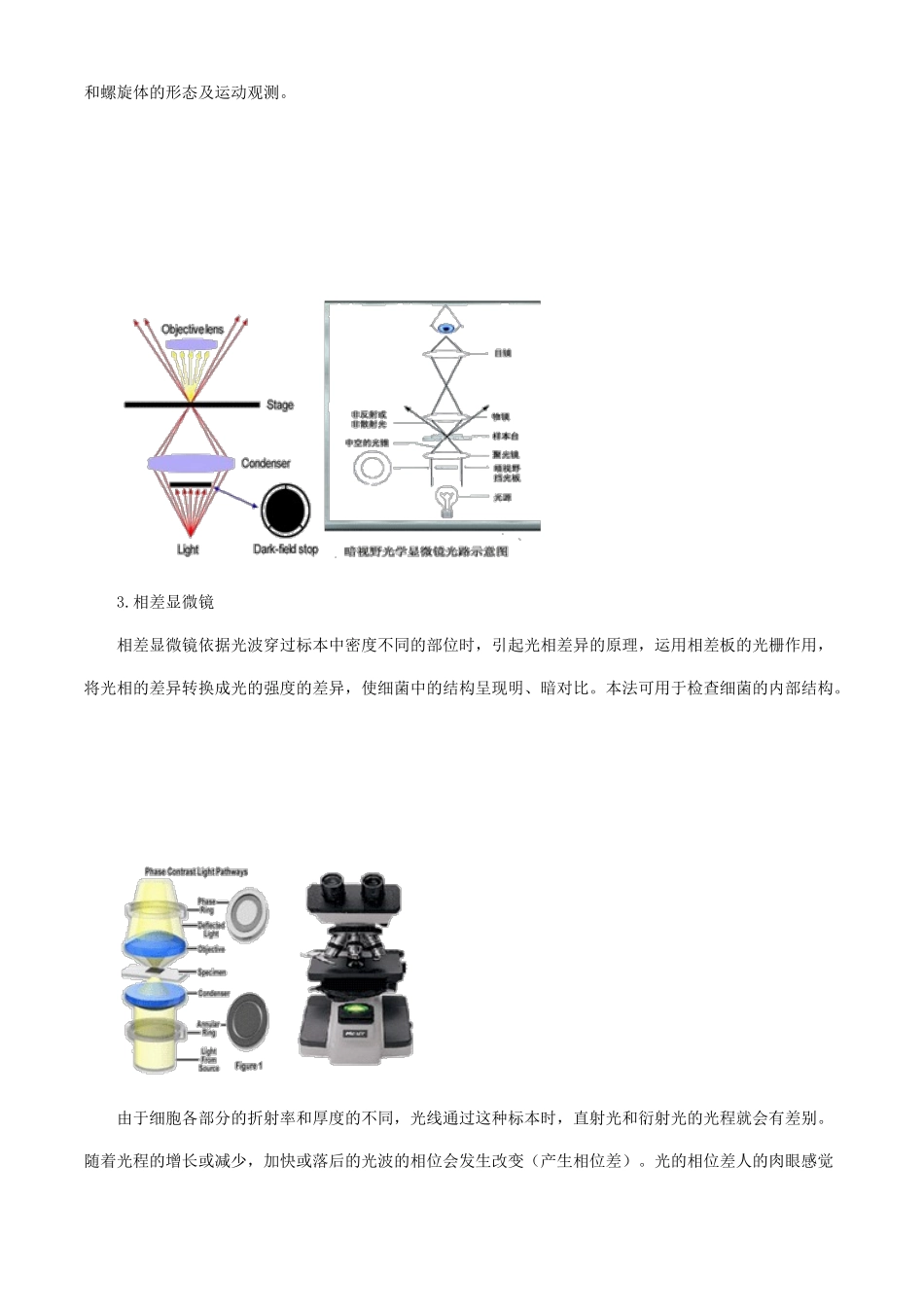 2025年初级检验技师微生物检验讲义细菌形态学检查法_第2页