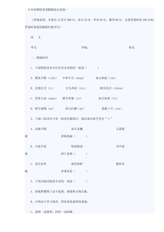 2025年小升初择校考试模拟综合试卷一